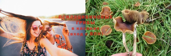 соль курить ск Алексеевка
