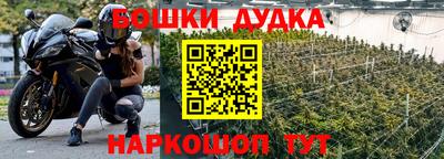 марки lsd Славгород