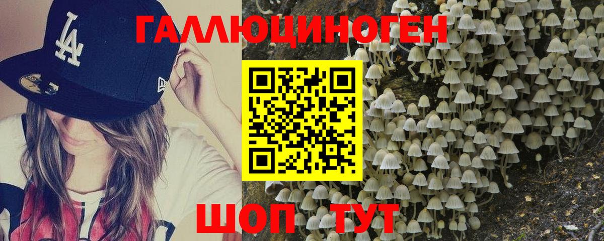 Галлюциногенные грибы Cubensis  Вход с VPN  закладки  Санкт-Петербург 