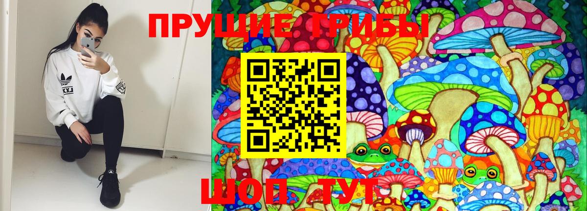 Псилоцибиновые грибы Psilocybine cubensis Санкт-Петербург